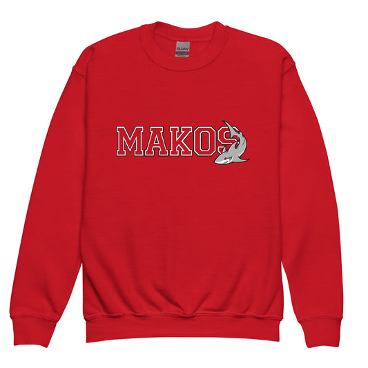 Youth Red Sweatshirt