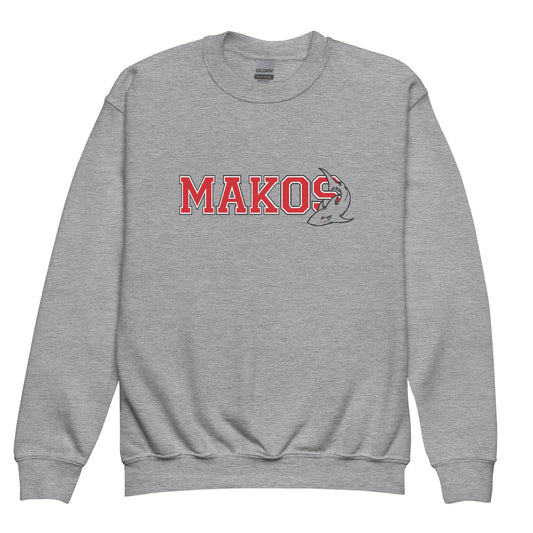 Youth Gray Sweatshirt